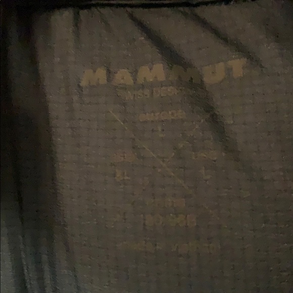 Mammut Meron IN Hooded Down Jacket - Men's - Picture 2 of 4